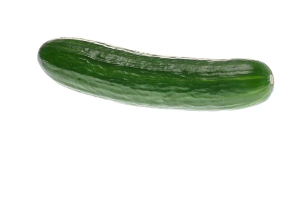 Cocumber — Stock Photo, Image
