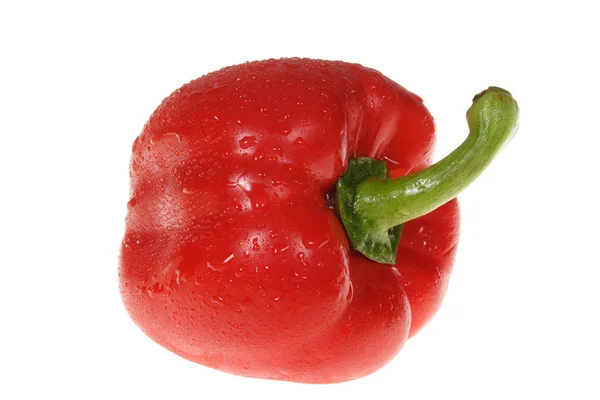 Paprica roja — Foto de Stock