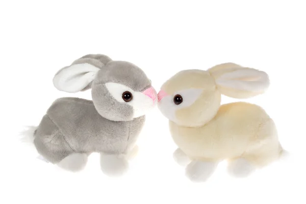Twee konijnen — Stockfoto