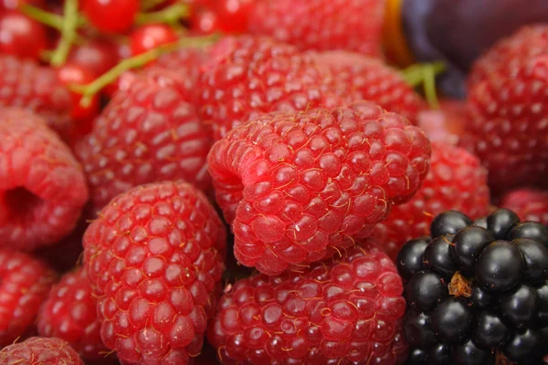 Fresh Raspberries — Stock Photo, Image