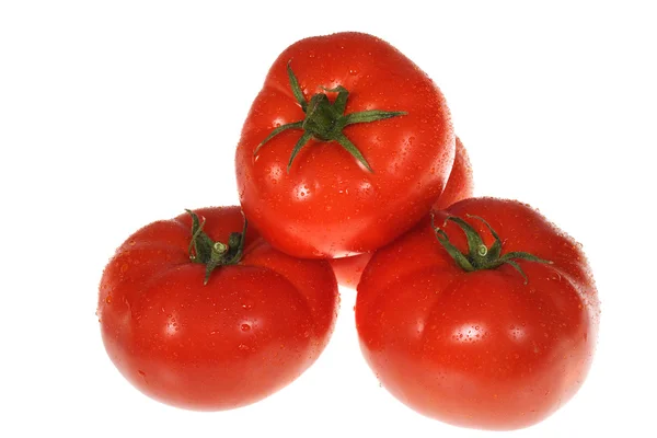 Red Tomatos — Stock Photo, Image