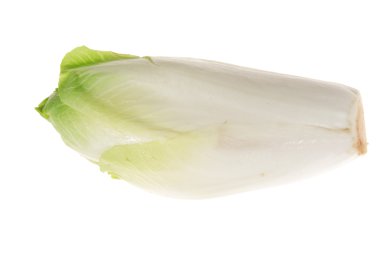 Fresh Endives clipart