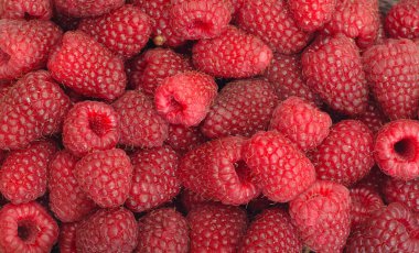 Raspberries clipart