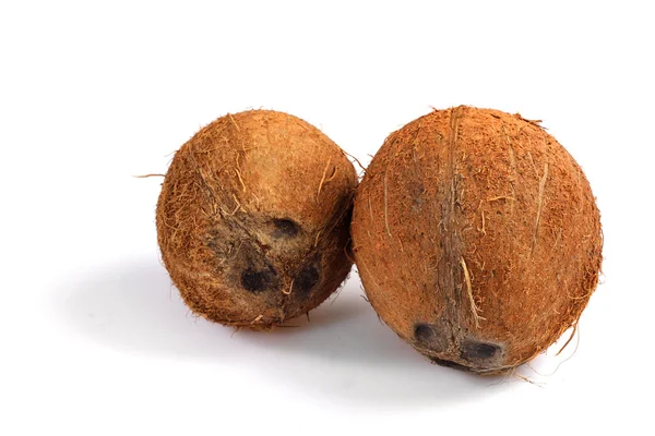两个椰子 — 图库照片