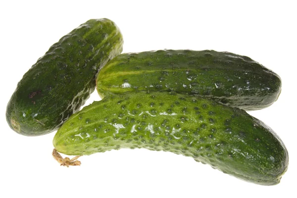 Green Cucumbers — Stock Photo, Image