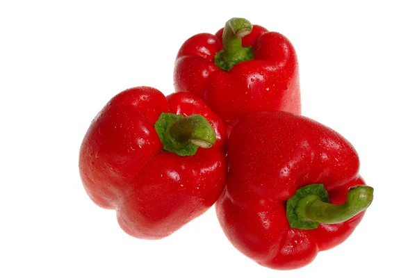 Κόκκινο paprica — Φωτογραφία Αρχείου