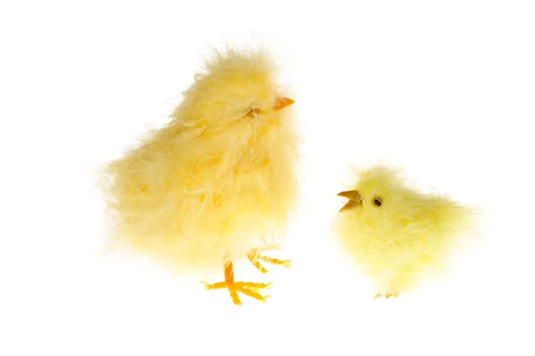 Chicklings — Stok Foto