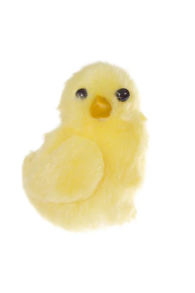 黄色雏鸡 — 图库照片