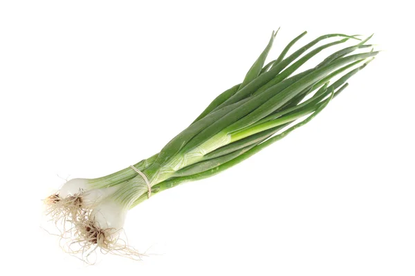 Green Onions — Stock Photo, Image