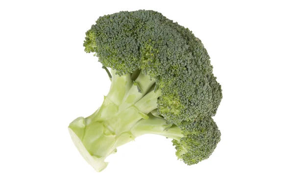 Verse groene broccolli — Stockfoto