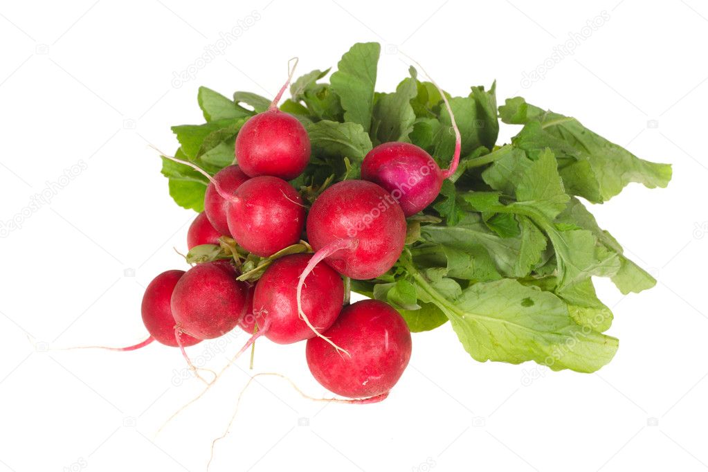 Bunch Of Radishes