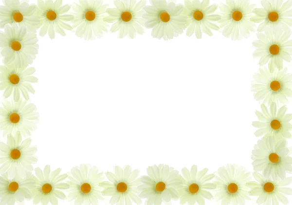 Ram box från vita blommor — Stockfoto