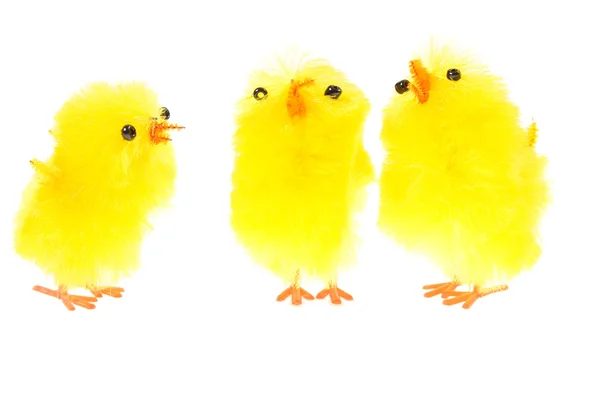 Желтые цыплята — стоковое фото