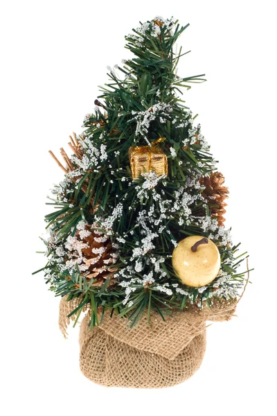 Kis karácsonyi fa — Stock Fotó