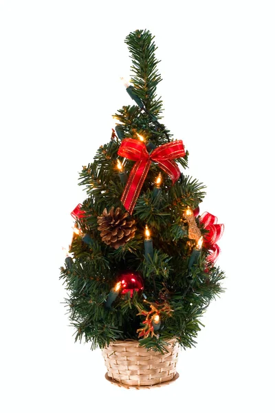 Small Christmas tree — Stock Photo, Image
