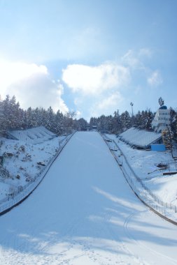 Ski Jumping- Zakopane clipart