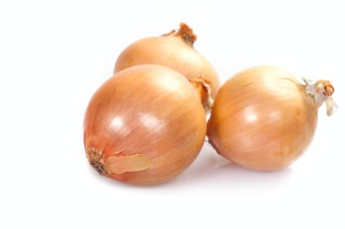 Three onions clipart