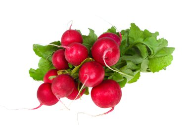 Bunch of radishes