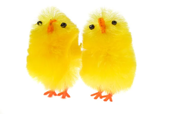 Chicklings — Stock Photo, Image