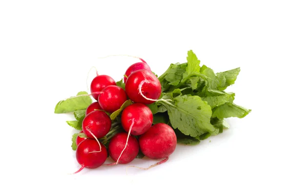 Bunch of radishes — Stock Photo, Image