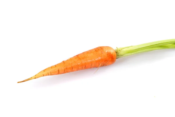 Один морква — стокове фото