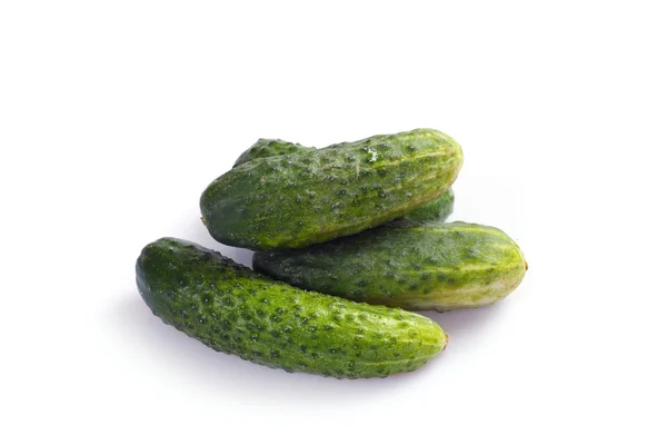 Zelené okurky — Stock fotografie