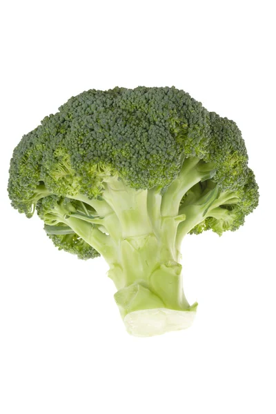 Färska gröna broccolli — Stockfoto