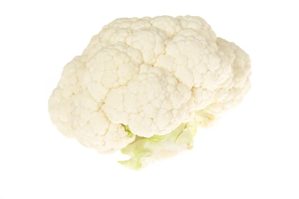 Cauliflower Isolated — Stock Photo, Image