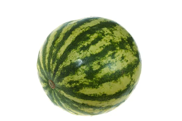 One Watermelon — Stock Photo, Image