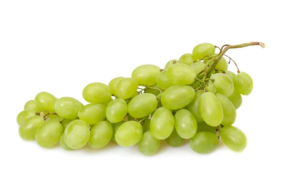 Ramo di uva verde — Foto Stock