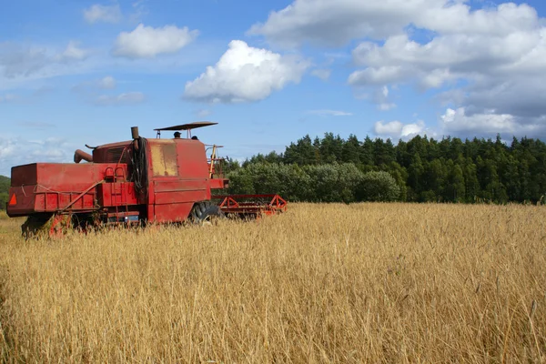 Combine harvester — Stock Photo, Image