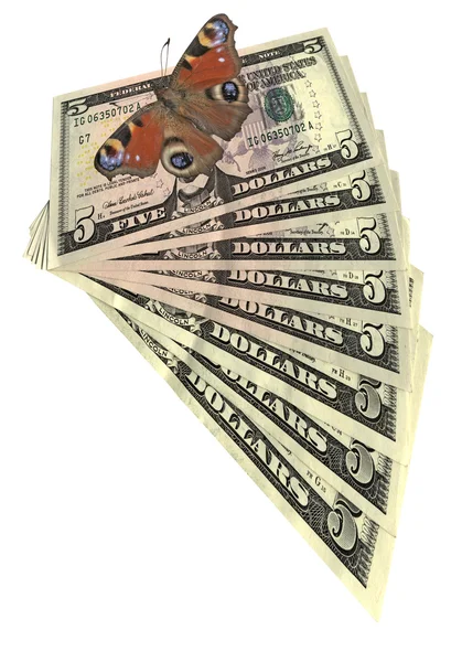 Vlinder, dollar geïsoleerd, besparingen — Stockfoto