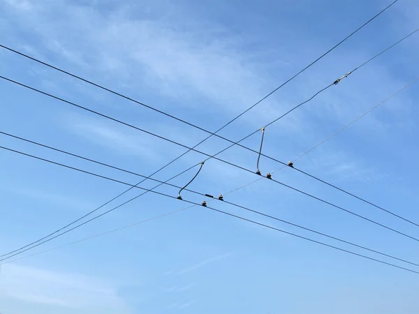 Cables, aislador de energía, cielo azul, nubes — Foto de Stock