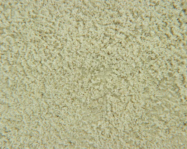 Текстура Белого Риса — стоковое фото
