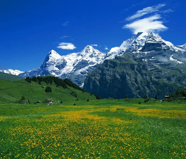 stock image beautiful landscape with mountains and blue sky