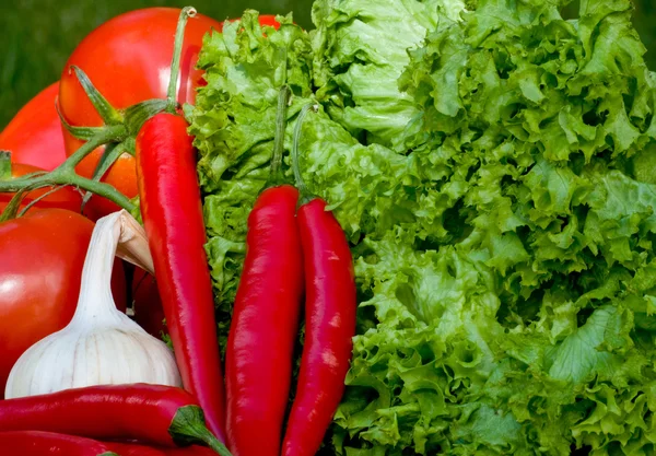 Dietetic vegetables — Stock Photo, Image