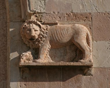 Assisi'da Marzocco