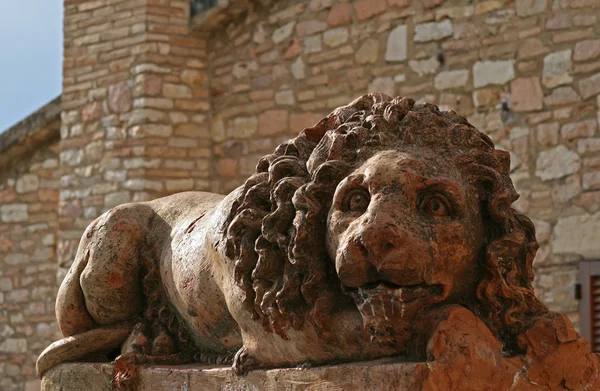 stock image Marzocco in Assisi