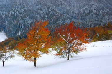 sıradışı Güz