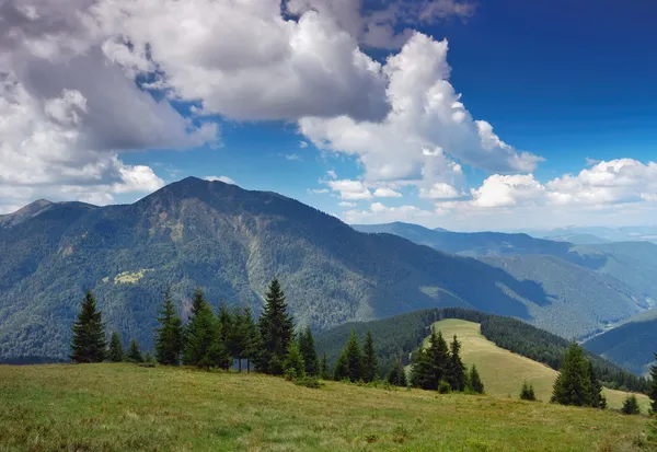 Літній гірський ландшафт — стокове фото