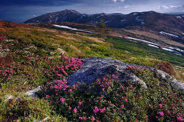 Paesaggio montano in primavera — Foto Stock