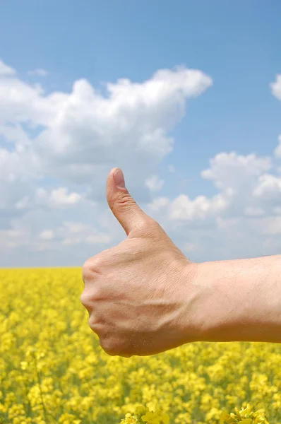 Рука фермера символизирует хороший урожай — стоковое фото