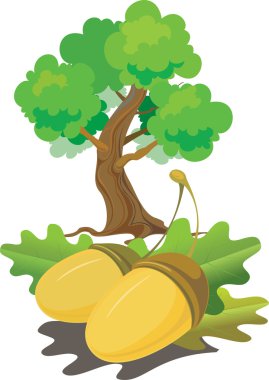 The acorns clipart