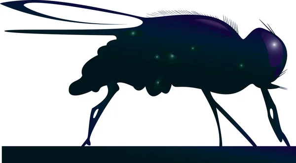 La mouche . — Image vectorielle