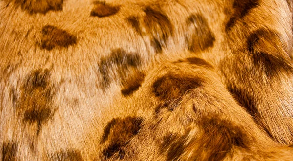 Spotted brown fur — Stock Photo, Image
