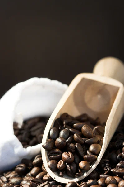 stock image Coffee beans