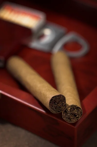 Cigarrer — Stockfoto