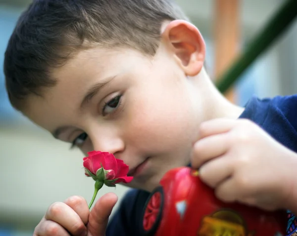 Chlapec a červené růže — Stock fotografie