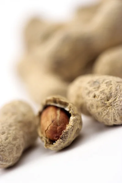 stock image Peanuts close up