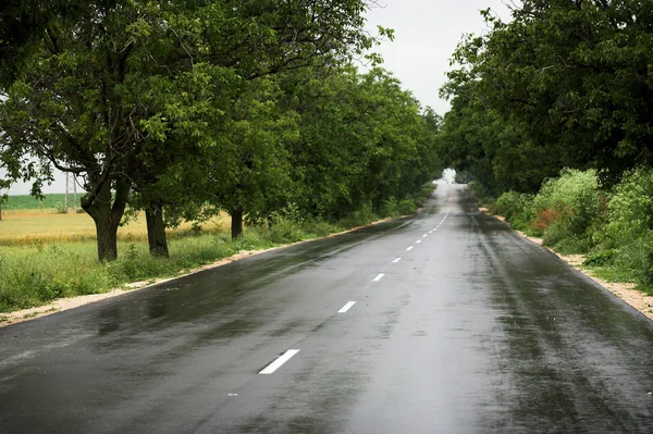 Мокрые проселочные дороги — стоковое фото